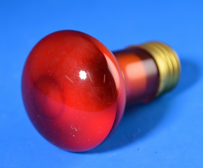 TOKI（東輝）　R52　110V15W　E26　赤　サインレフ球