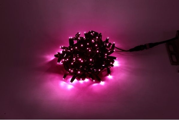 LEDストリングスHITO II　LED-PL165-100-10M-P　ピンク　黒コード　100球