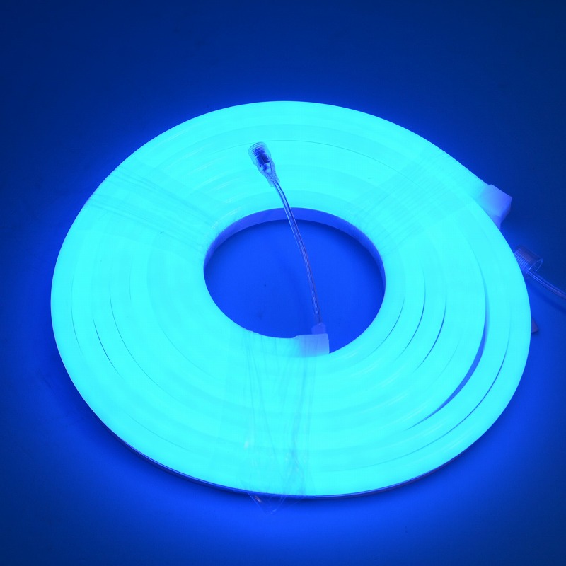 LEDネオンライト　24v5m　ブルー(Blue) 　ネオンカラーブルー
