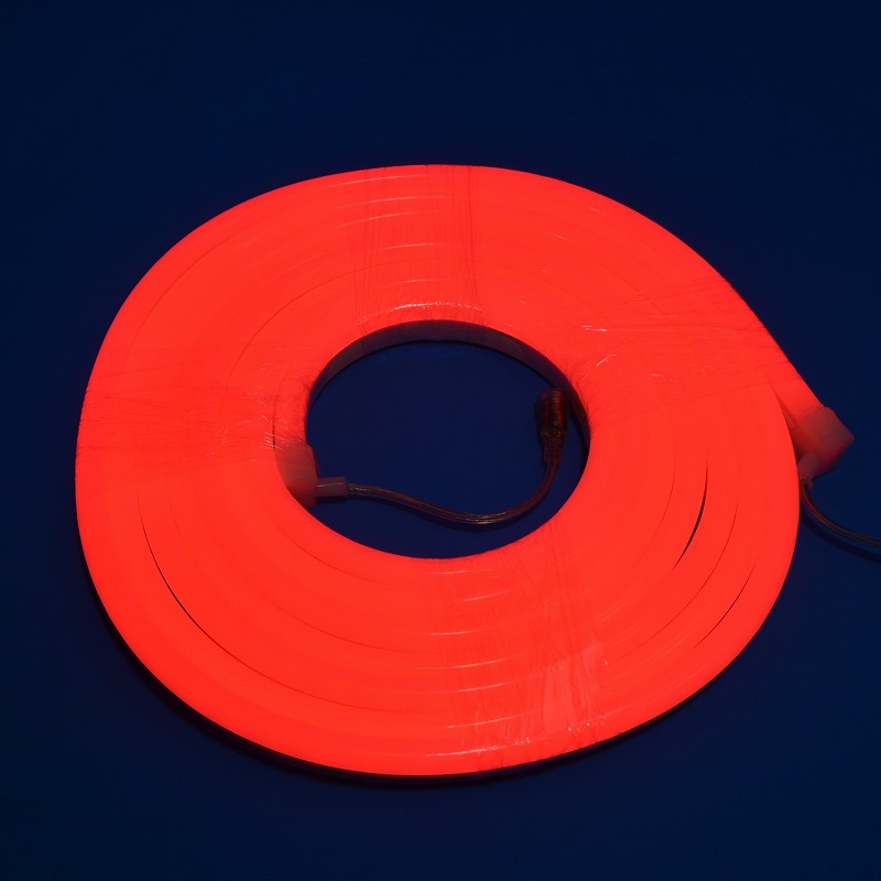 LEDネオンライト　24v5m　レッド(RED)