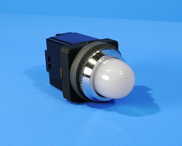 IDEC (アイデック)　TWNシリーズ パイロットライト Φ30　APN116DNPW