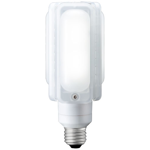 岩崎電気　LDTS29N-G　（29W・昼白色・E26口金）　LEDioc　LEDライトバルブ　電源別置タイプ（ランプ・電源ユニット込）