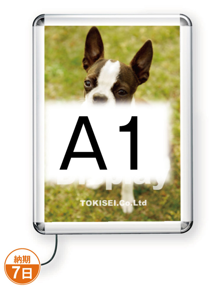 TOKISEI　TSK-PG-44RLED-A1C（N）　PGライトLEDルクスト　A1【屋外・パックシート付】
